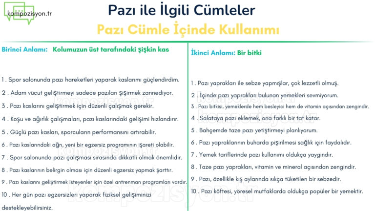 Pazı ile İlgili Cümleler - Pazı Cümle İçinde Kullanımı
