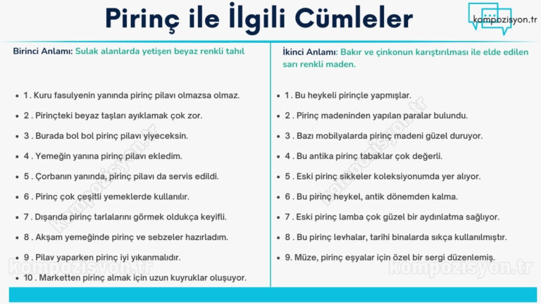 pirinc ile ilgili cumleler cumle icerisinde kulanimi