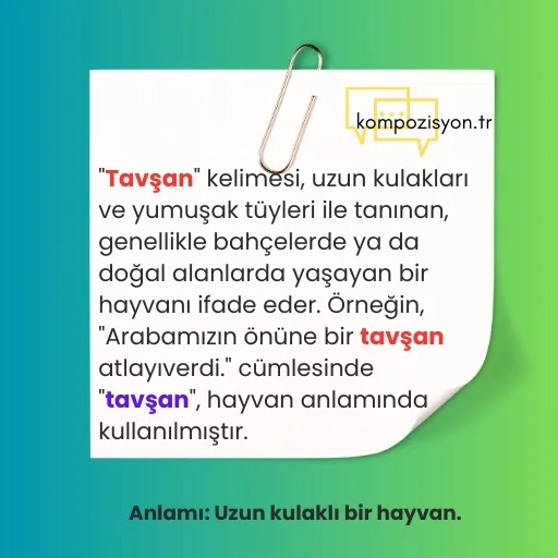 tavsan anlami 1