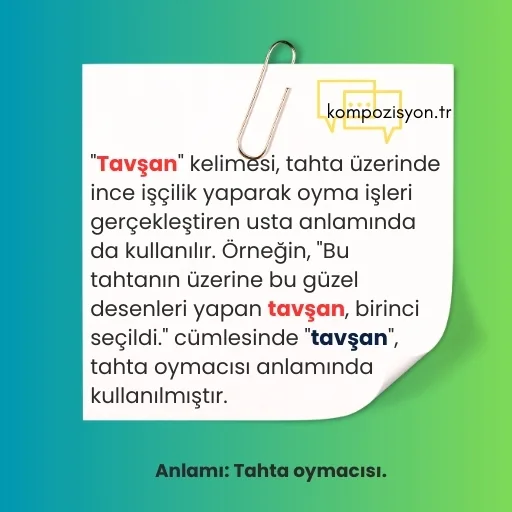 tavsan anlami 2