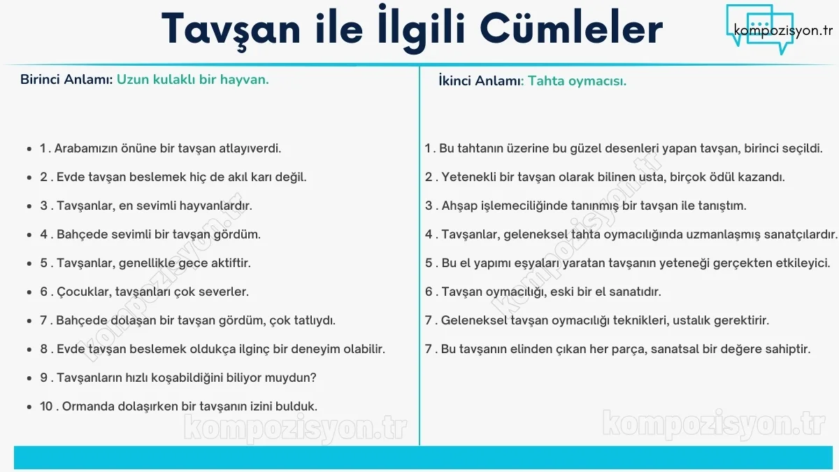 tavsan ile ilgili cumleler cumle icerisinde kulanimi