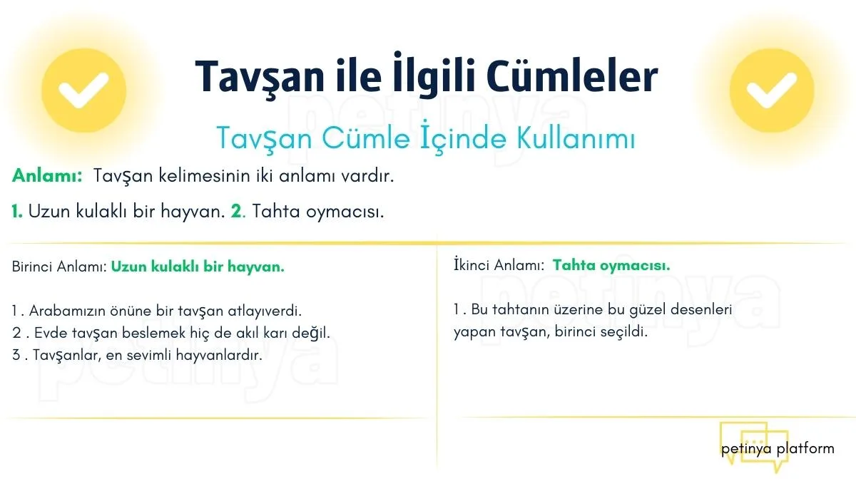 tavsan ile ilgili cumleler