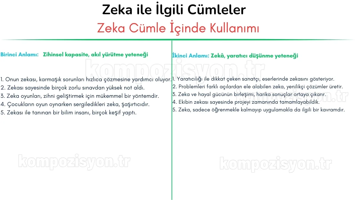 zeka ile ilgili cumleler cumle icerisinde kulanimi