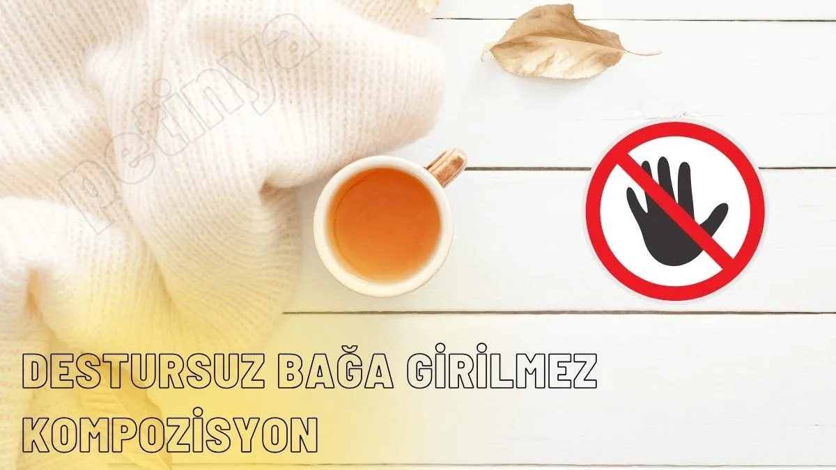 destursuz baga girilmez kompozisyon