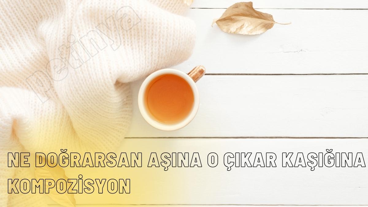 ne dograrsan asina o cikar kasigina ile ilgili kompozisyon