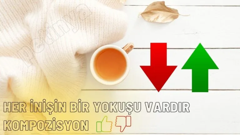her inisin bir yokusu vardir kompozisyon