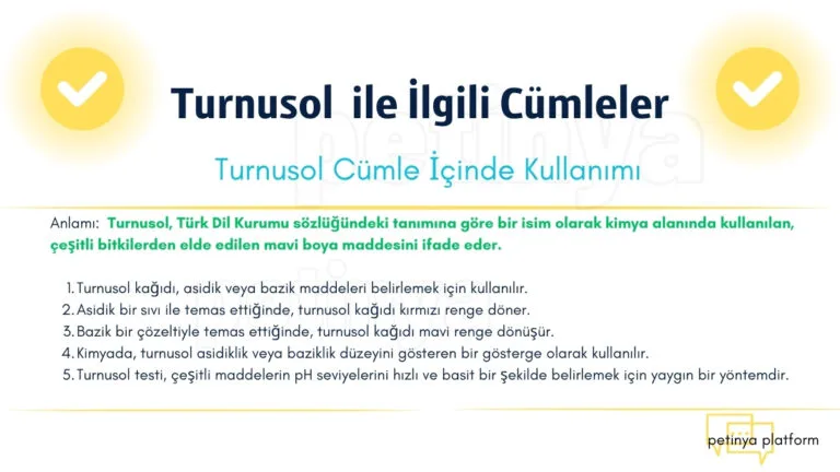 turnusol ile ilgili cumleler