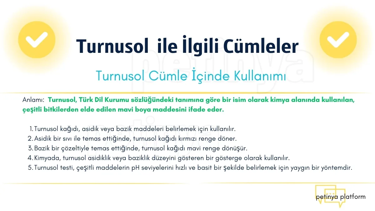 turnusol ile ilgili cumleler
