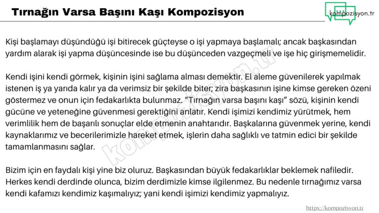 tirnagin varsa basini kasi kompozisyon